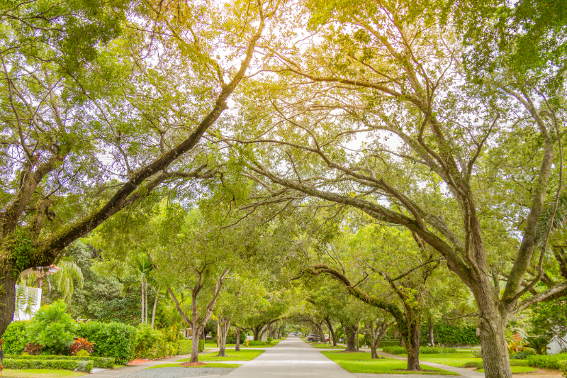 Coral Gables Park