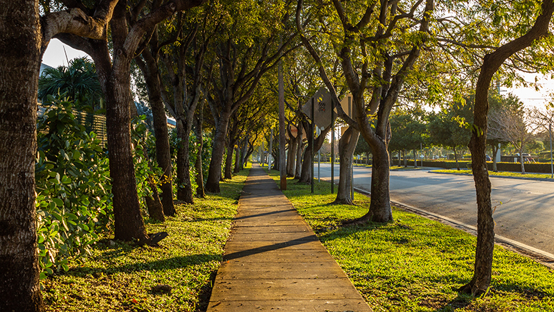 Doral streets