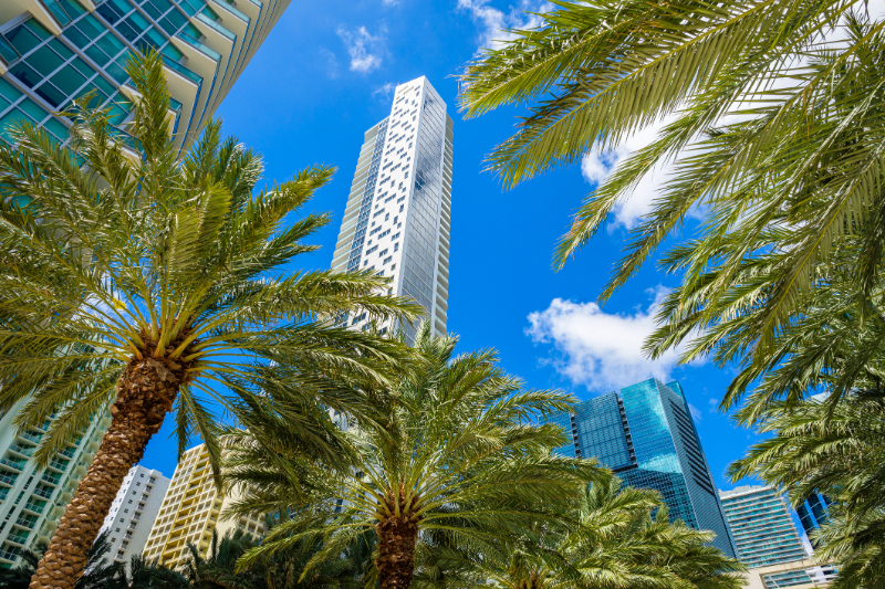 Downtown Miami Brickell