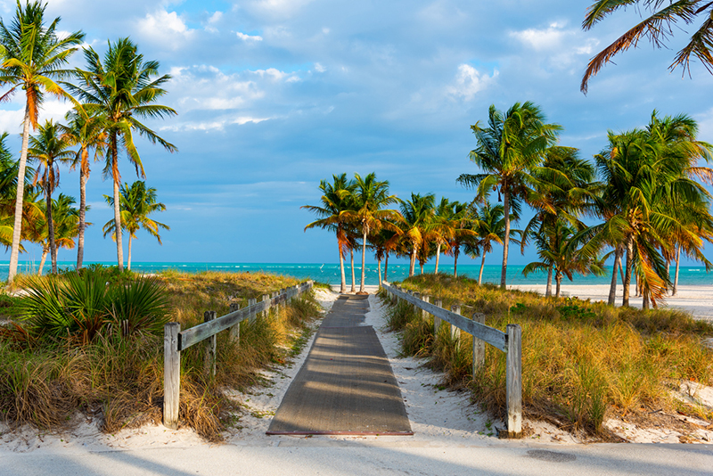 wooden boardwalk